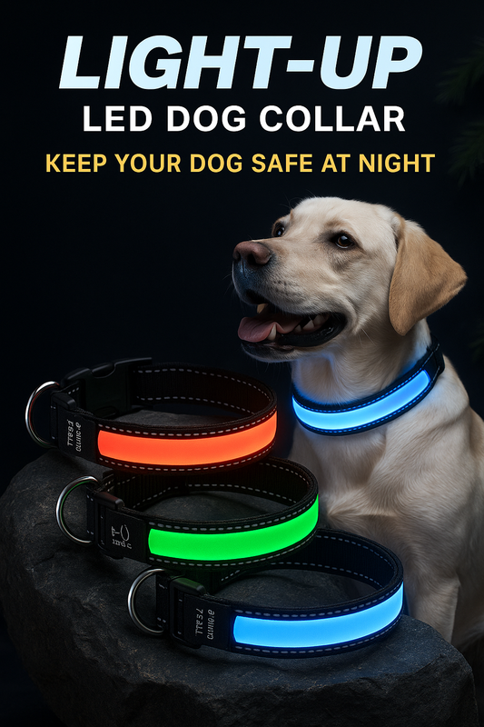 GlowPup™ LED Collar