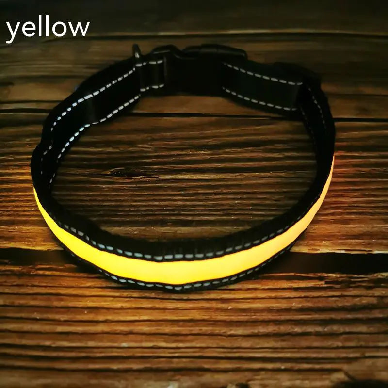 GlowPup™ LED Collar