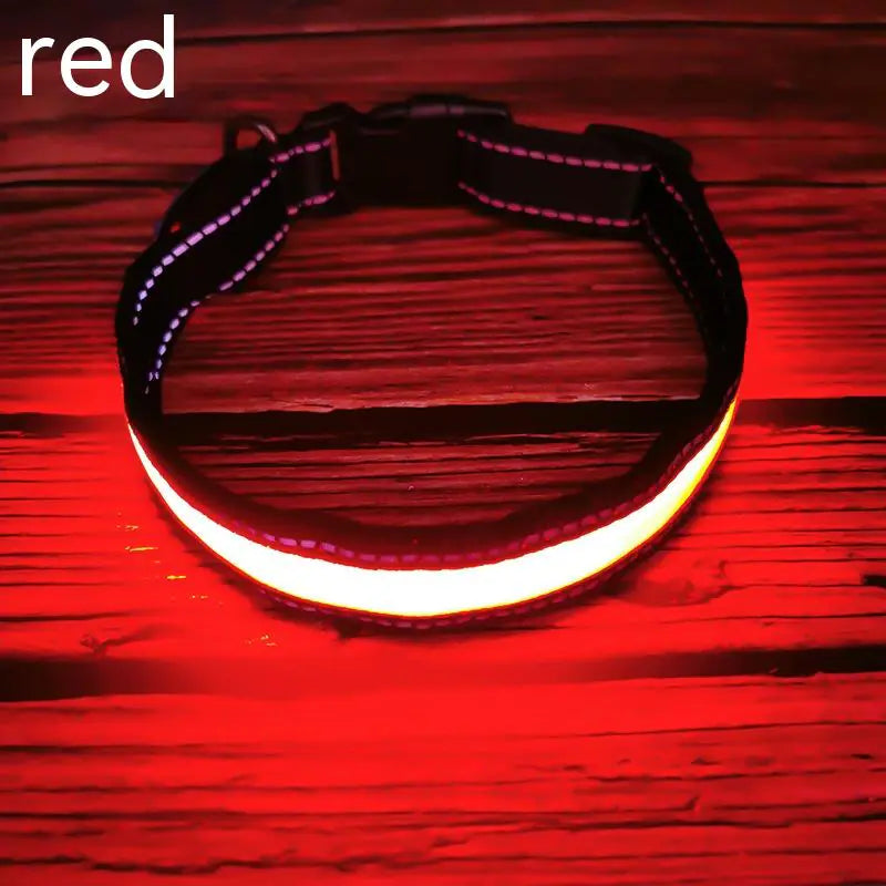 GlowPup™ LED Collar